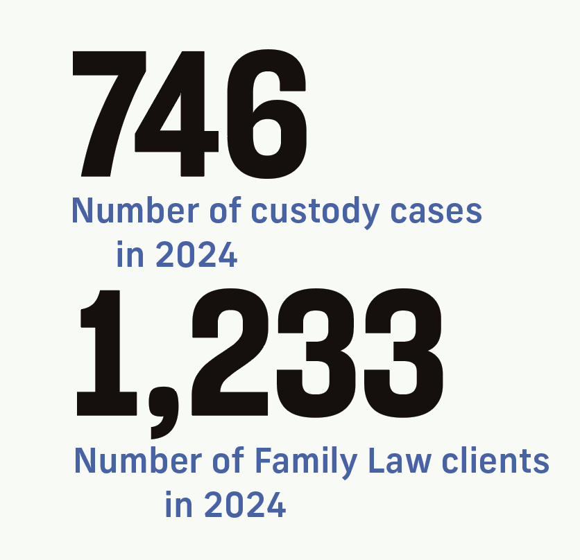 746: Number of custody cases in 2024, 1233: Number of Family Law Clients in 2024