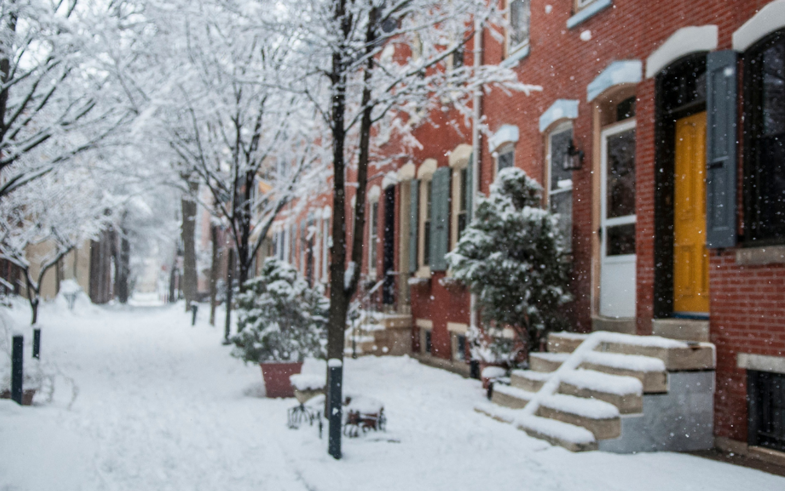 philadelphia rowhomes covered in snow
