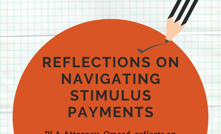 A graphic image with the text "Reflections on Navigating Stimulus Payments" in bold lettering