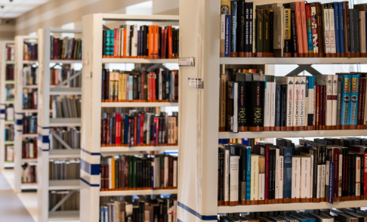  an image of rows of library shelves