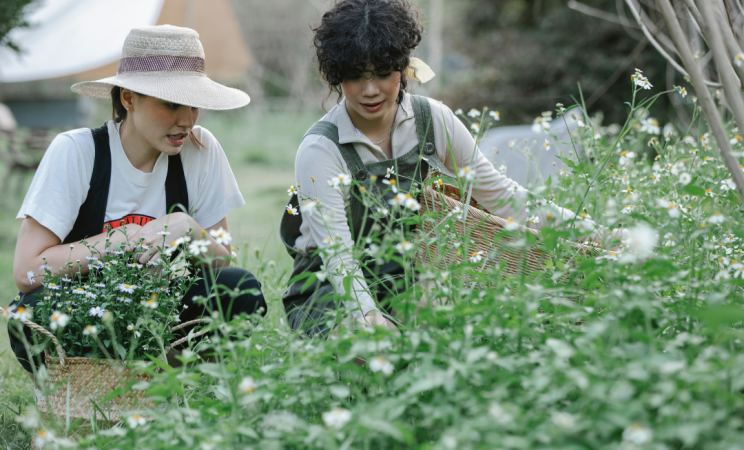 two women kneel and tend to a garden