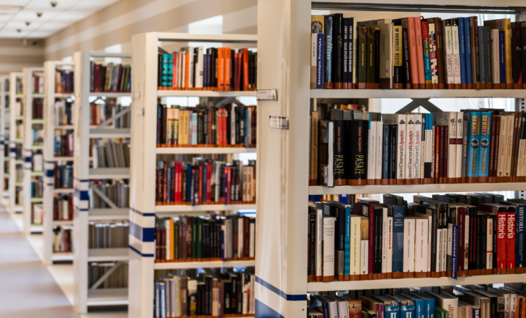 Rows of books can be seen in perspective inside a library