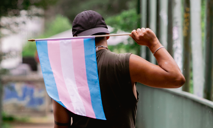 A person in a black baseball hat and black tanktop stands with their back to the camera holding a transgender pride flag behind them