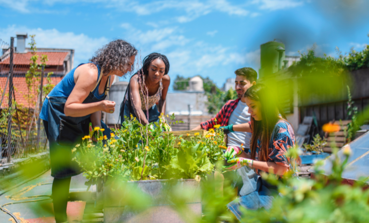 A group of people tends to a garden