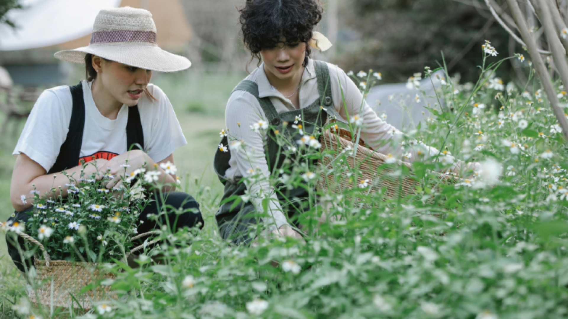 Two people tend to a community garden