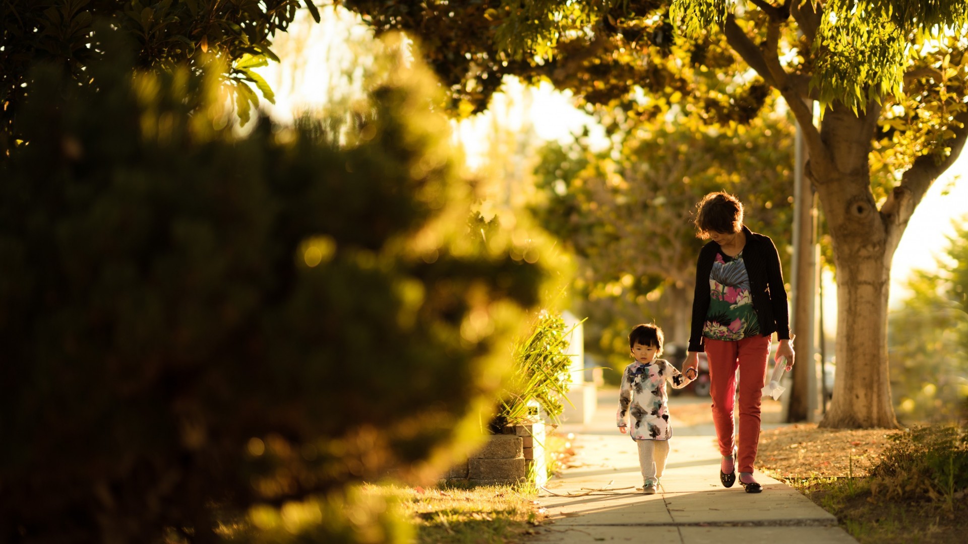 A woman holds hands with her toddler as they walk down a sunny tree lined sidewalk